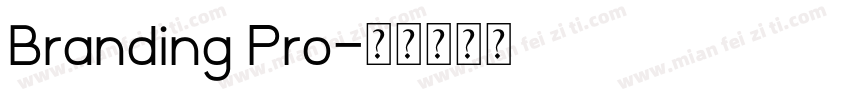 Branding Pro字体转换